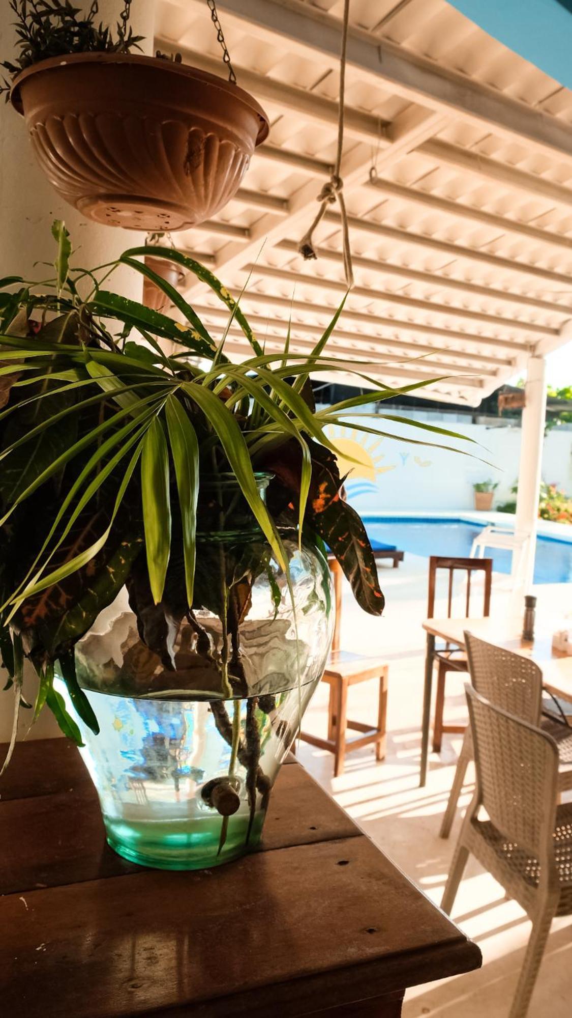 Hotel Sol Y Mar سانتا كاتالينا المظهر الخارجي الصورة